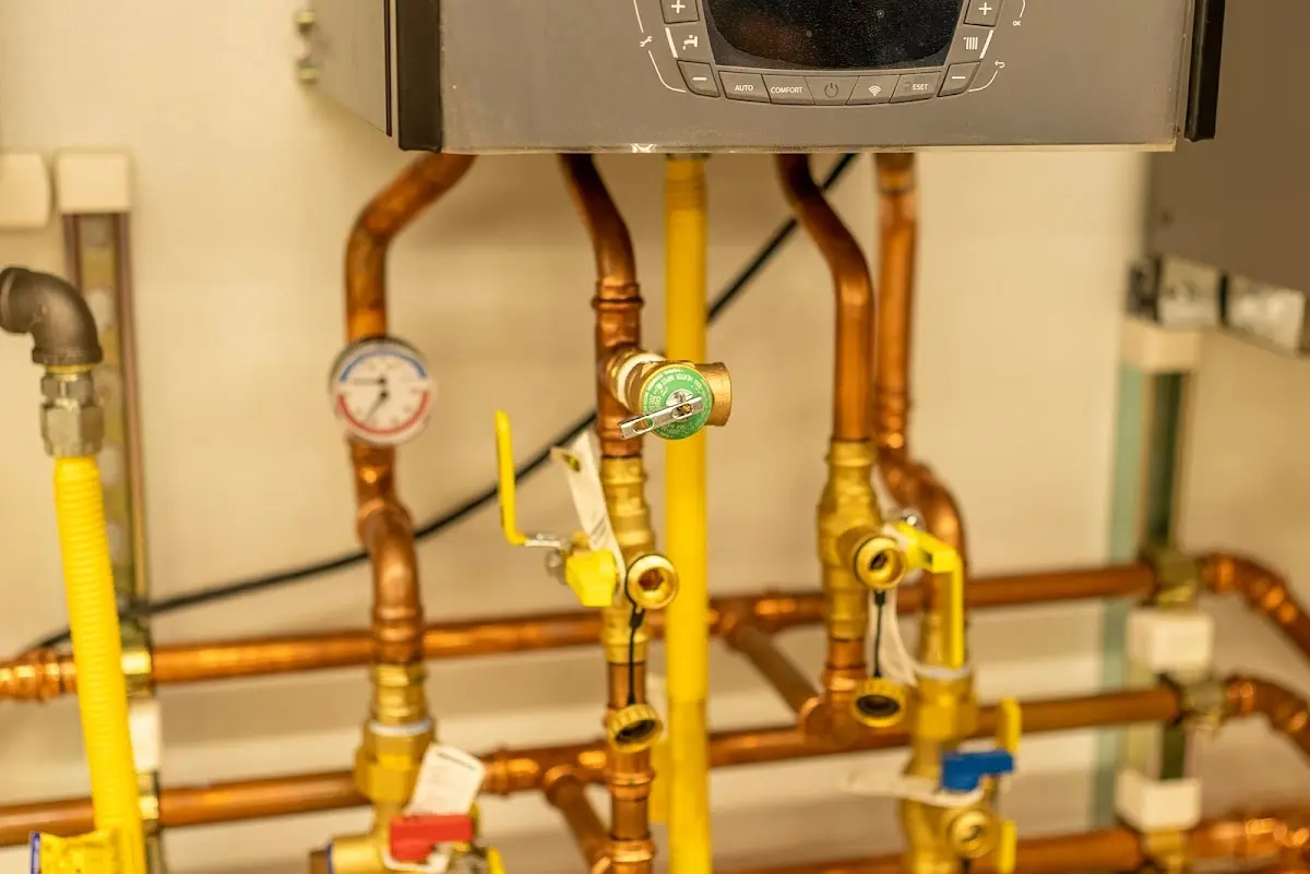 Licensed technician providing Emergency Plumbing for a homeowner in Strawberry Plains